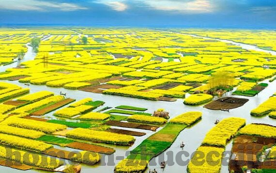 6月23号世界杯战况-世界杯战况，6月23号的精彩瞬间与意外之喜