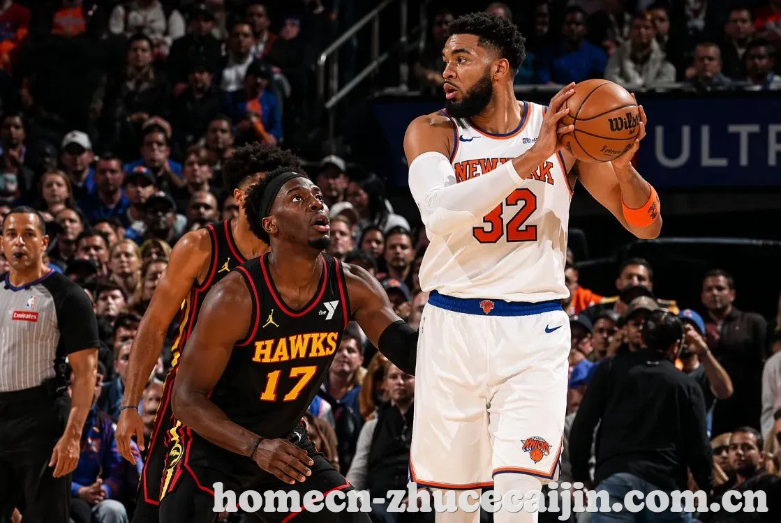 NBA季后赛精彩回顾